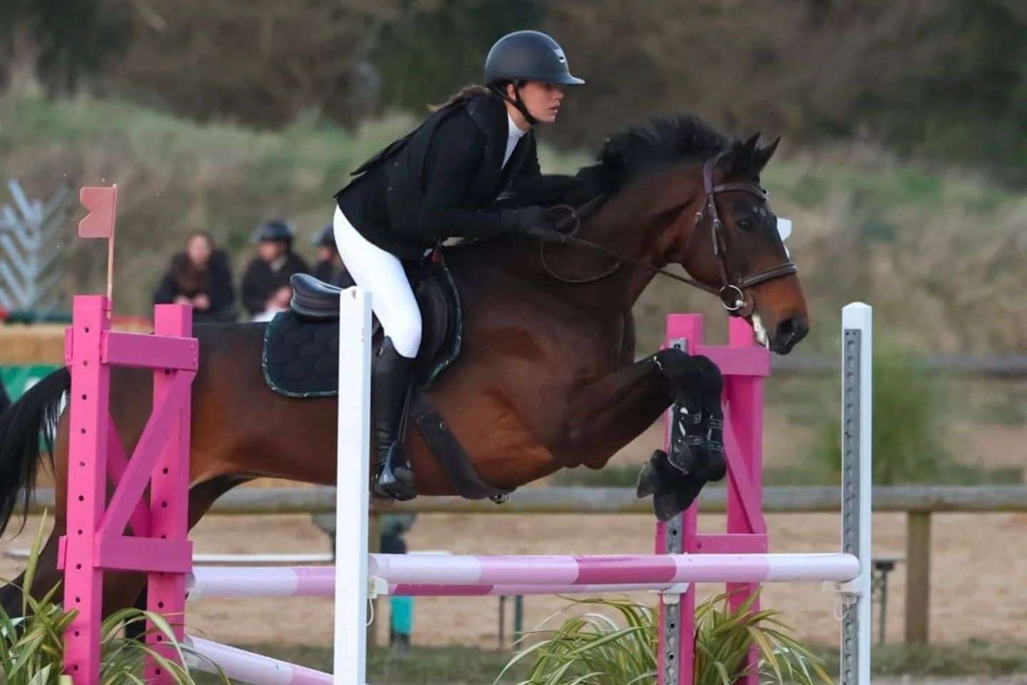 Demo Arthur inscription concours saut d'obstacle du 6 avril au Sabot d'or et résultat CSO club les écuries des parcs